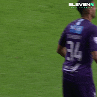 Celebrations Beerschot GIF by ElevenSportsBE