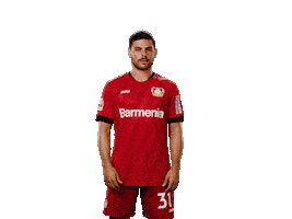 Bayer 04 Hello Sticker by Bayer 04 Leverkusen