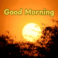 Good Morning Sunrise GIF