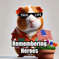 Guinea Pig Remembrance GIF by Guinea Gambino