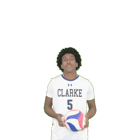 Clarke Pride Sticker by Clarke University