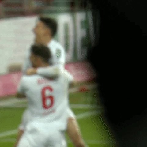 1 Fc Cologne Football GIF by 1. FC Köln