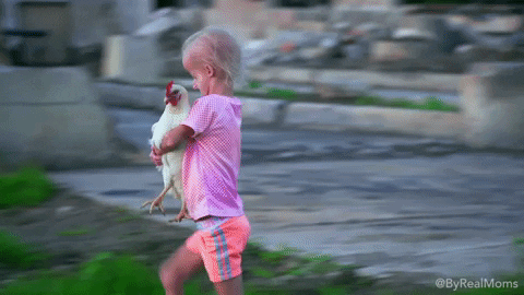 little girl chicken GIF by Children's Miracle Network Hospitals