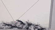GIF by Alex Boya