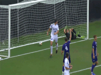 soccer celebration GIF