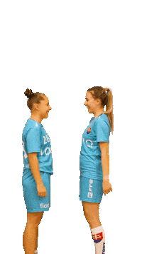 Floorball Slovakia Sticker by Slovenský zväz florbalu