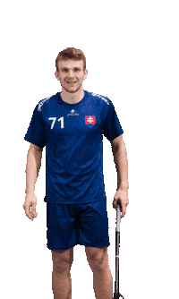 slovenskyzvazflorbalu slovakia florbal slovak floorball szfb Sticker