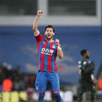 Premier League Sport GIF by CPFC