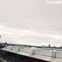 Premier League Sport GIF by CPFC