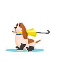 Hushpuppiescol puppies hush lluvia zapatos Sticker