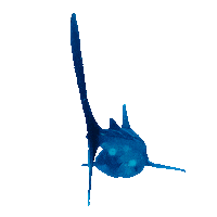 BlissDhigurah fish shark maldives whaleshark Sticker