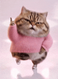Dance Dancing GIF