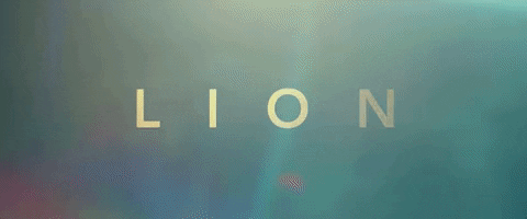 the weinstein company GIF by LION 