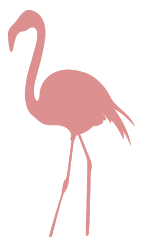 Pink Flamingo Sticker by Helm Design Studio