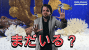 Emileappeal GIF