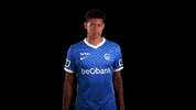 GIF by KRC Genk