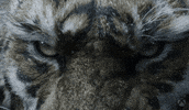 Close Up Eyes GIF by Xbox