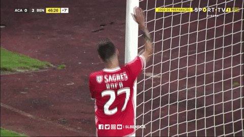SL_Benfica giphyupload benfica rafa slb GIF