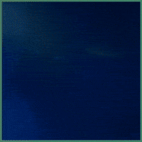 Beard Care GIF by THE BEARD STRUGGLE