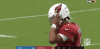 Arizona Cardinals Football GIF by NFL