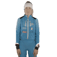 Wintersports Scialpinismo Sticker by FISI