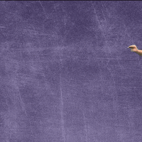 Kdub GIF by KWC Panthers