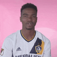 valentinesday GIF by LA Galaxy