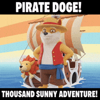 One Piece Adventure GIF by Doge Pound