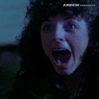 Film Camping GIF by Arrow Video