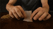 weed unicorn GIF by Digg