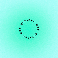 Ber GIF by brnrd