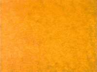 music video animation GIF by ProfessorLightWAV