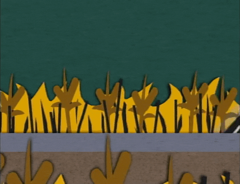 GIF by South Park 