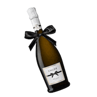 Celebrate Wine Bottle Sticker by Chloe Wine