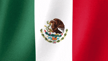 Bandera de MƩxico