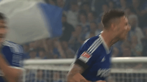 Celebration Goal GIF by FC Schalke 04