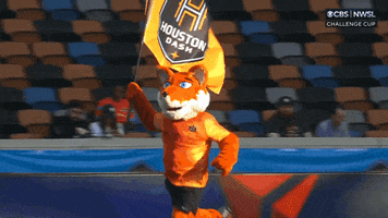 Houston Dash Sport GIF by National Women's Soccer League
