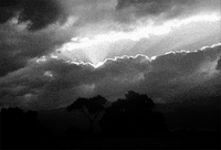 preston sturges sunrise GIF by Maudit