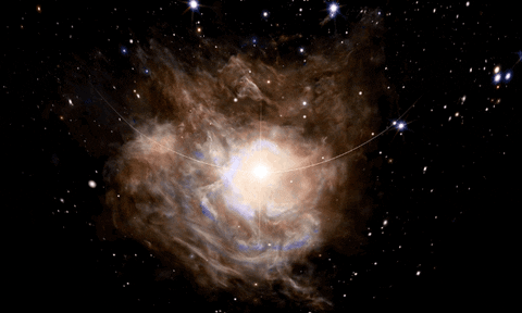 tell it to maury GIF