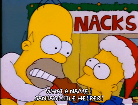 Season 1 GIF by The Simpsons