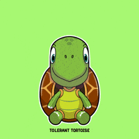 Accepting Blink Blink GIF by VeeFriends