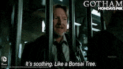 gotham GIF by Fox TV
