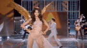 vsfs 2017 GIF by Victoria's Secret Fashion Show