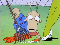 Rockos Modern Life Nicksplat GIF by NickRewind