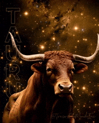 Made In Canada Horoscope GIF by TresorsDuMonde.ca