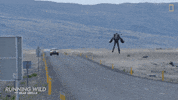 Kmk Runningwild GIF by National Geographic Channel
