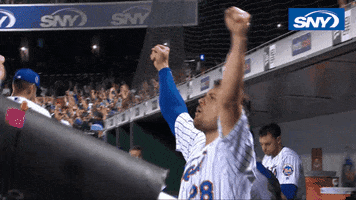 sny_tv celebration baseball mlb mets GIF