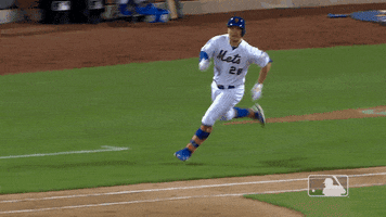 Ny Mets Sport GIF by New York Mets