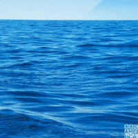 Ocean Wildlife GIF by BBC America