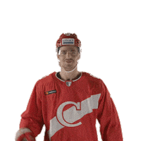 Spartakgoals Sticker by Spartak HC
